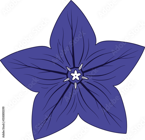 a detailed 5 petal flower, dark purple petals, white center, realistic and highly detailed, cinematic lighting, photorealistic
