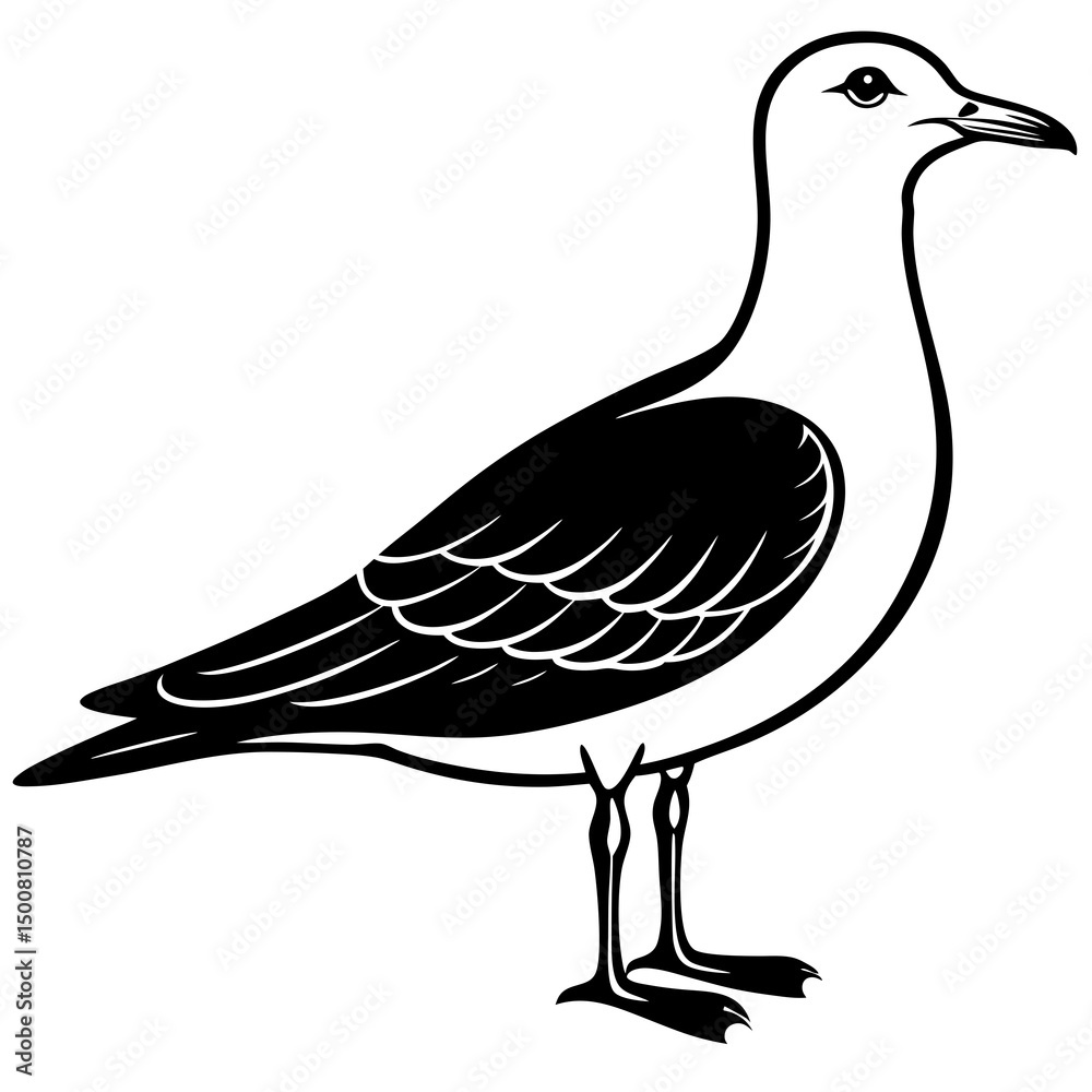 Obraz premium vector drawing of a bird