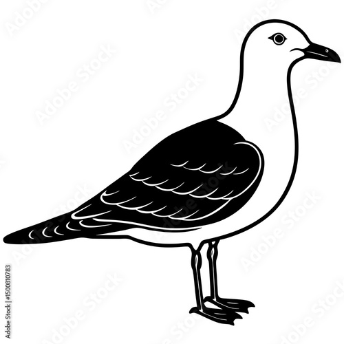bird, animal, pigeon, nature, white, dove, beak, wildlife, feather, isolated, wild, brown, wing, seagull, quail, duck, pheasant, black, feathers, animals, illustration, birds, vector