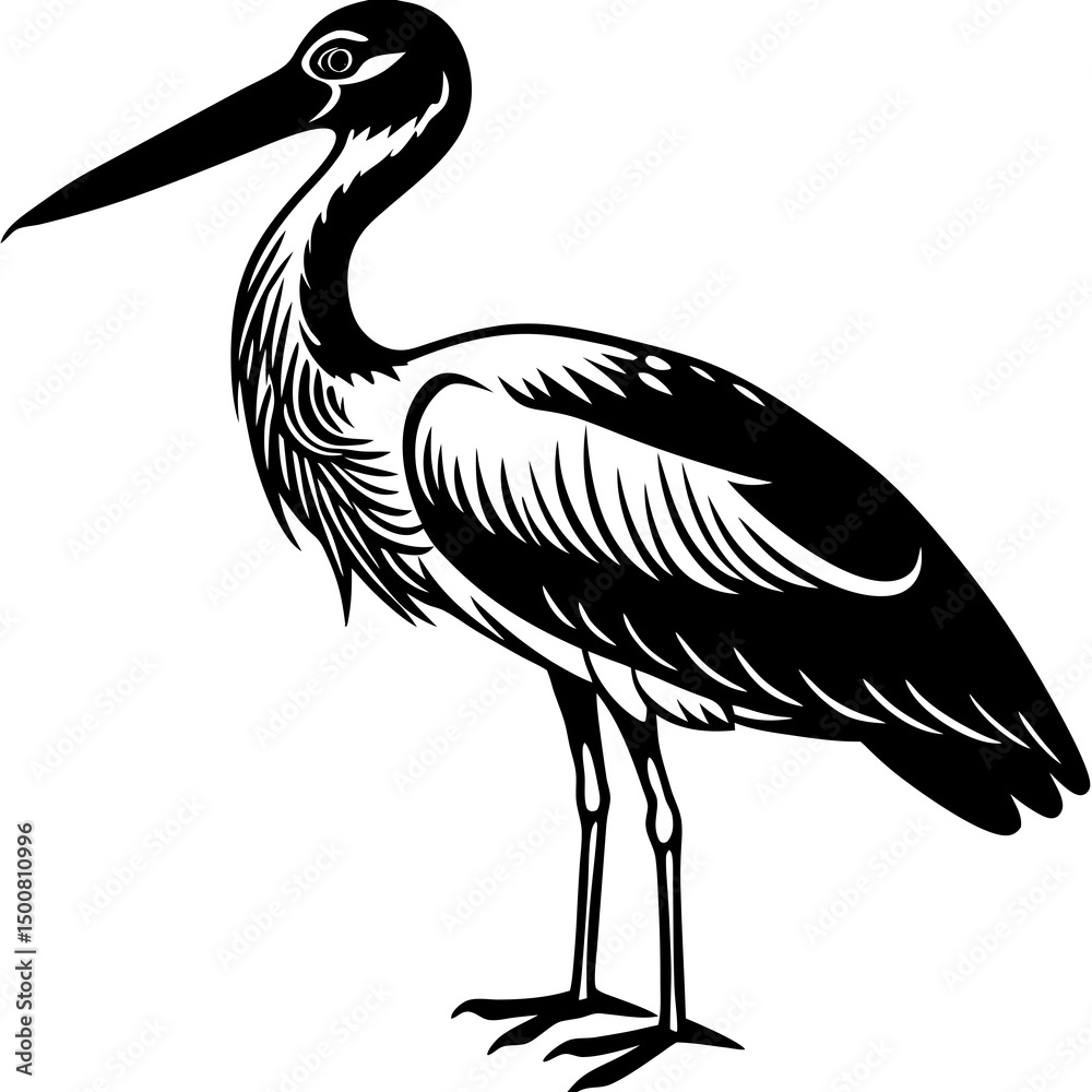 Obraz premium black crowned crane