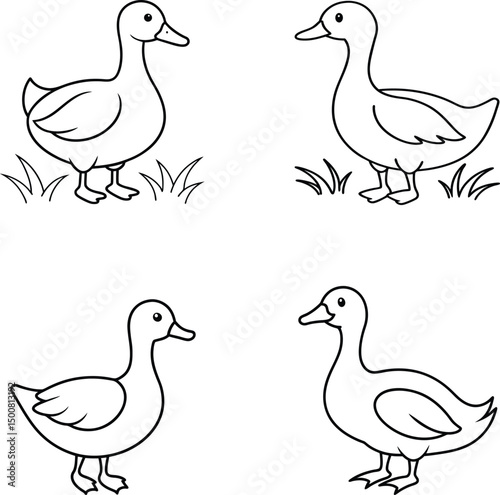 set of ducks line art