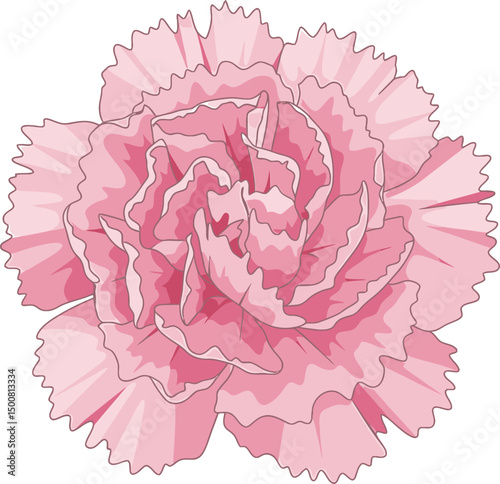 a detailed, highly realistic pink carnation flower,intricate petals,vibrant colors,studio lighting,sharp focus,cinematic lighting,studio photography
