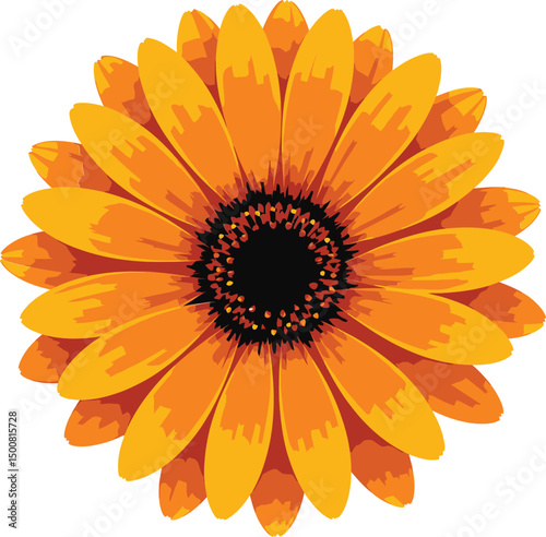 Orange Gerbera Daisy Vibrant Petals Botanical Illustration Detailed Close Up Hyperrealistic Highly Detailed 8k Studio Lighting

