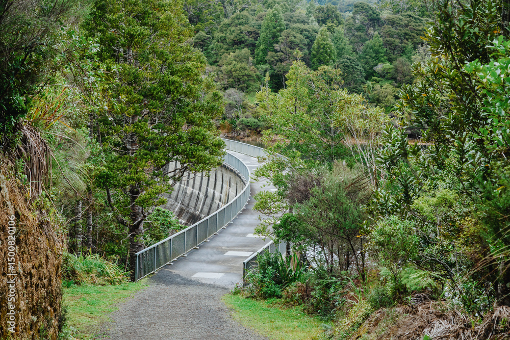 Fototapeta premium A concrete dam curves through lush green forest in Waitakere Reservoir, Waitakere, Auckland, New Zealand. The dam provides water to the surrounding area, showcasing sustainable infrastructure.