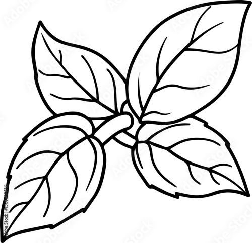mint leaves outline vector illustration coloring book page line art