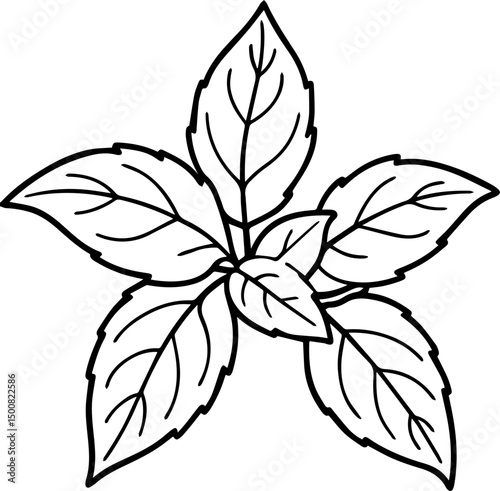 mint leaves outline vector illustration coloring book page line art