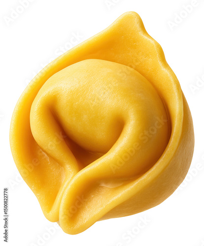 Single piece of uncooked tortellini pasta showcasing its smooth, golden dough texture and traditional folded shape.