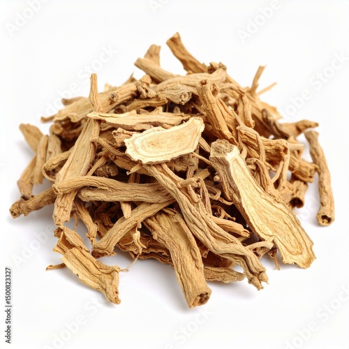 Atractylodes Rhizome Illustration for Herbal Medicine, Atractylodes Rhizome Botanical Art, and Atractylodes Rhizome Natural Remedy Design