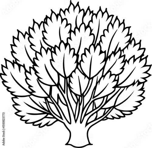  shrub outline vector illustration line art