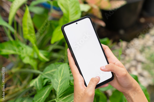 Hand holding smartphone with blank screen for graphic display montage on outdoors background, mockup display for lifestyle and wireless technology.