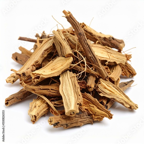 Saussurea Root Illustration for Herbal Medicine, Saussurea Root Botanical Art, and Saussurea Root Natural Remedy Design