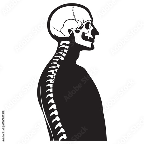 Spine Orthopedic, Human Skeleton,Solid Flat Vector Icon Isolated on White Background.
