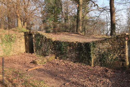 Blick auf die Reste der Burg Rodenberg auf dem Kapellenberg in Menden im Sauerland	 photo