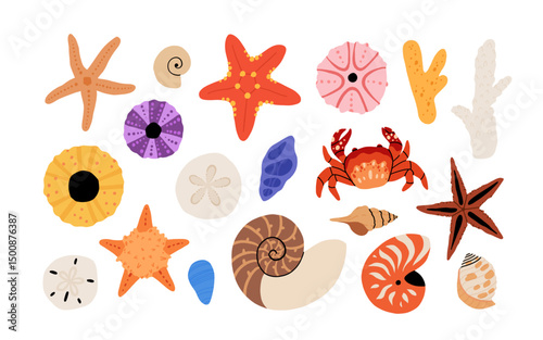 Seashells vector set. Collection of flat, cartoon modern flat icons of molluscs sea shells, starfish, sea urchin, crab, coral. Trendy coral reef under water collection isolated on white
