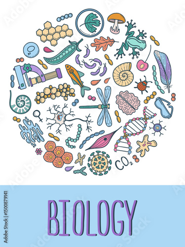 Biology doodle poster. Collection of colorful hand drawn elements science biology. Vector illustration in circle composition