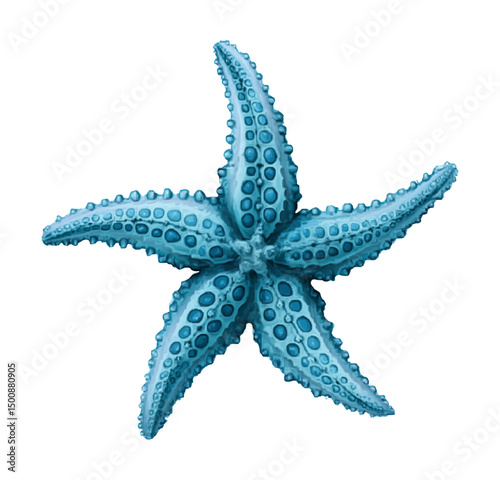 Isolated Blue Starfish on White Background, close up and detailed illustration art