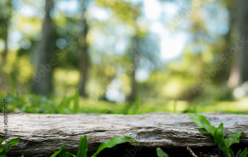 A empty wooden board with a beautiful blurred background of green bokeh nature, for showcasing your product.