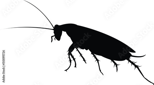 Cockroach silhouette vector Cockroach black clip art.eps