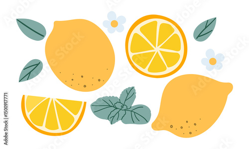Fresh citrus fruits. Yellow juicy lemons, exotic natural product, sour taste, whole, cut, on twigs, zest and peel, flowers with leaves, lemonade ingredient, vector cartoon flat isolated set
