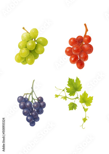 bunch of grapes