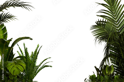 Lush tropical plants frame a dark background