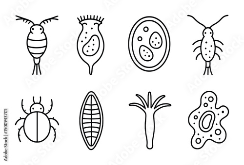 Line art of microorganisms and insects for educational design use