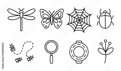 Insect and nature line icons for educational and design use