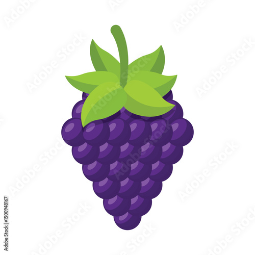 Blackberry fruit icon in flat style. Grape berry vector illustration on isolated background. Nature snack sign business concept.