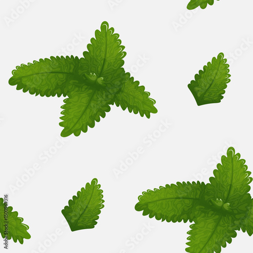 Seamless mint and catnip leaf pattern vector. Seamless botanical pattern with mint and catnip leaves, perfect for tea packaging, textiles, or organic product backgrounds.
