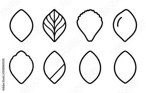 Variety of leaf outlines for nature and design projects