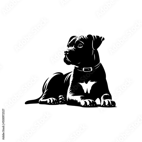 dog on black background silhouette 