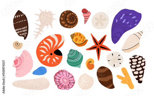 Seashells vector set. Collection of flat, cartoon modern flat icons of molluscs sea shells, starfish, sea urchin, crab, coral. Trendy coral reef under water collection isolated on white