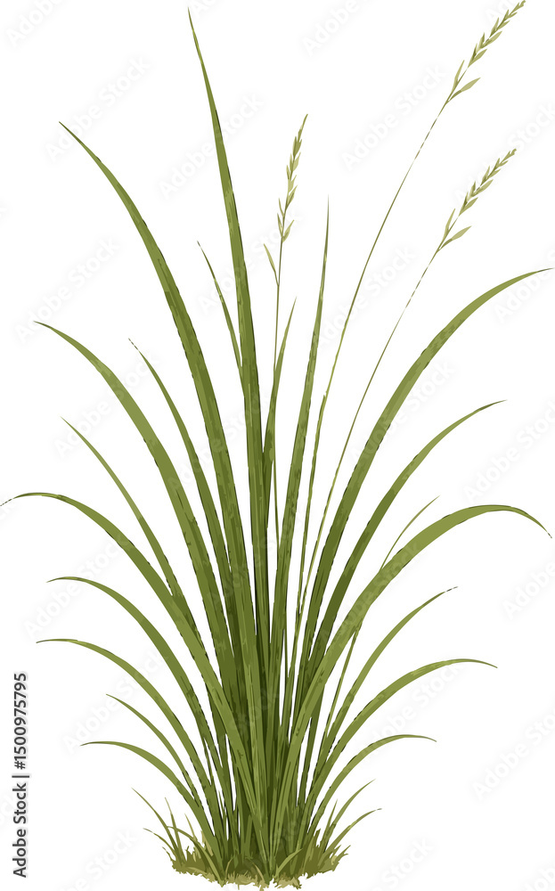 Naklejka premium Grass and Small Flower Illustration