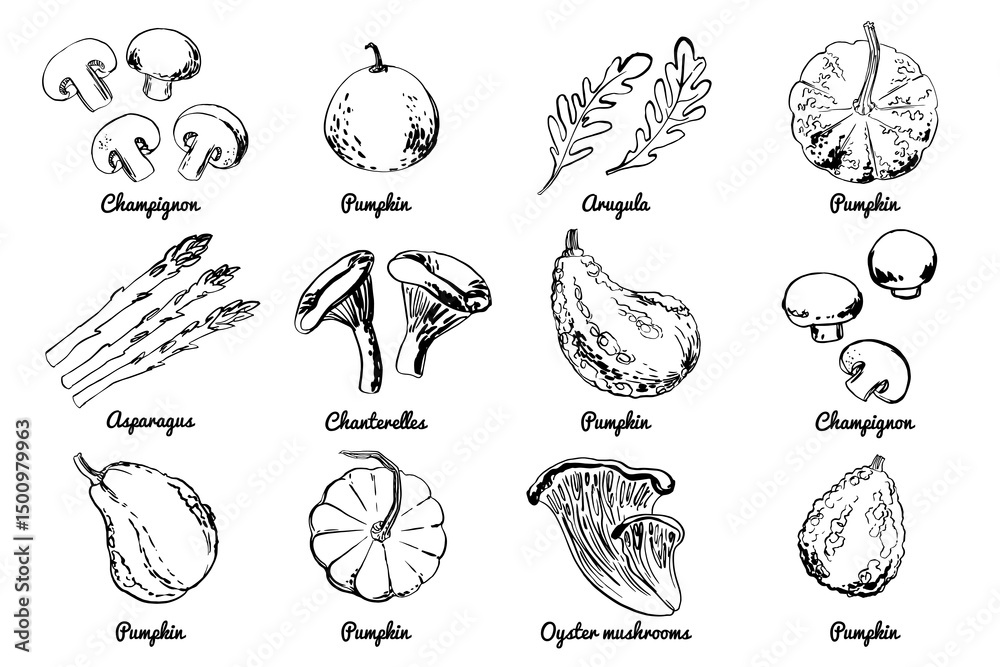 Fototapeta premium Vegetables fruits food icons set. Sketch of food vegetables by line and watercolor. Mushrooms, champignons, pumpkin, asparagus