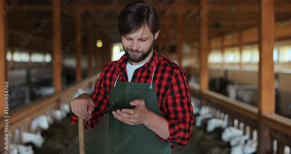 Handsome male farmer in green apron in goat stable and texting message on smartphone. Man farmer tapping and scrolling on mobile phone. Modern livestock farming business.