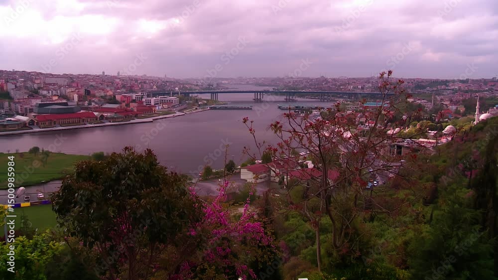 Judas trees and panoramic view of the Golden Horn, Istanbul