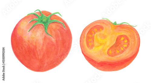 丸ごとトマトと半分に切ったトマトの水彩アナログイラスト素材