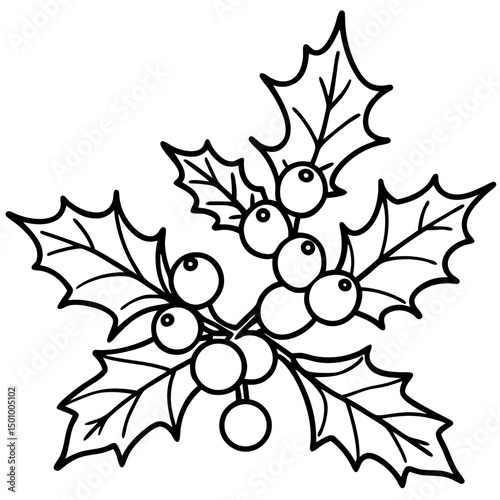 Mistletoe & Holly Bunch Vector on White