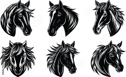 Set Of horse head silhouette illustration on white backgroud
