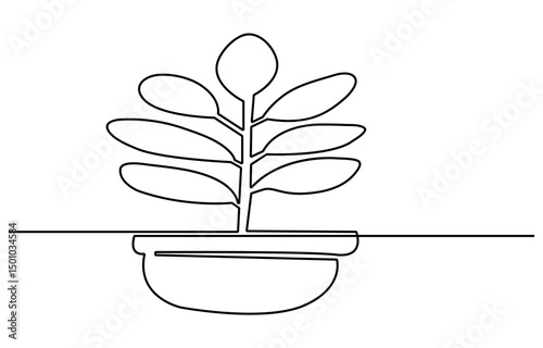 House plant outline drawing illustration. one continuous line drawing of plant in the pot for house decoration.