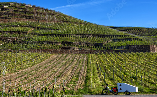Bicycle with tiny house trailer parked near picturesque moselle vineyard