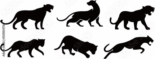 Leopardspuma panther and tige...