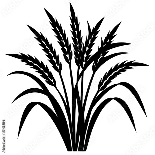Rice or Wheat Plant Silhouette
