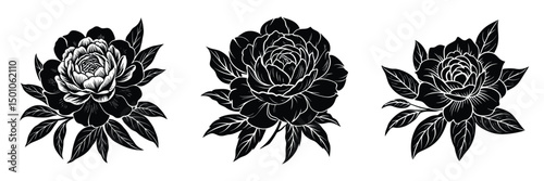 a set of three black and white floral illustrations featuring roses and peonies with leaves. perfect for graphic design, tattoos, and botanical art projects. vector. isolated on white background