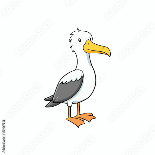 albatross perched on white
