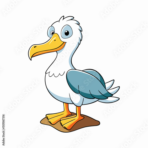albatross perched on white