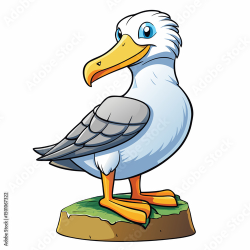 albatross perched on white