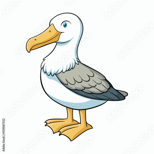 albatross perched on white