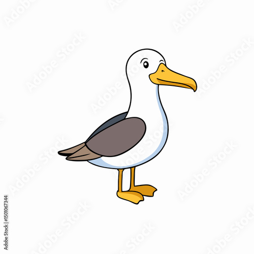 albatross perched on white