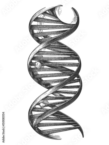 DNA Double Helix sketch engraving generative ai fictional character vector illustration. Scratch board imitation. Black and white image.